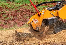  Colony Rk, PA Tree Care Pros